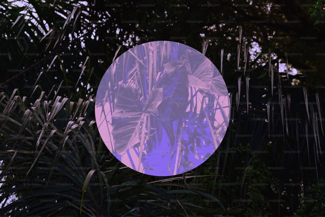 网飞《猎魔女团》爆火，韩媒：谁的K